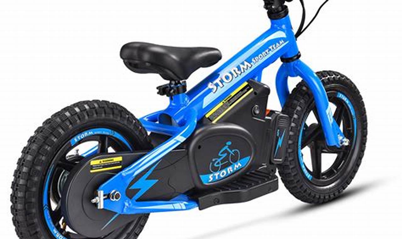Children’s Electric Bicycles
