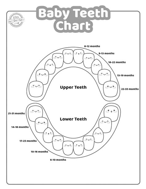 Childs Teeth Chart