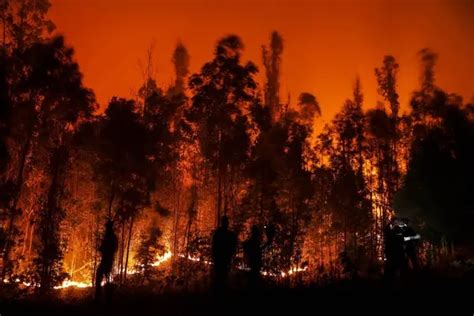 chile incendios forestales 2023