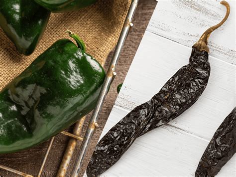 chile pasilla vs chile poblano