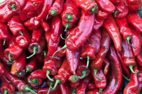 chile pepper or chili pepper