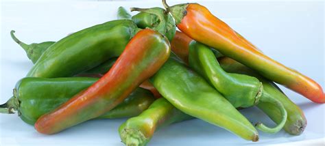 chile verde or chile colorado
