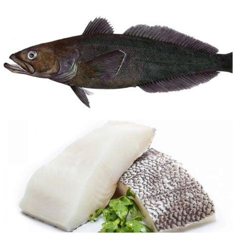 chilean sea bass fish price