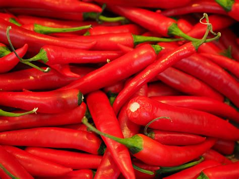 chili pepper or chile pepper