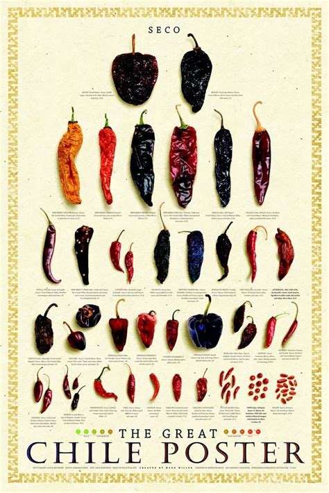 chili pepper poster