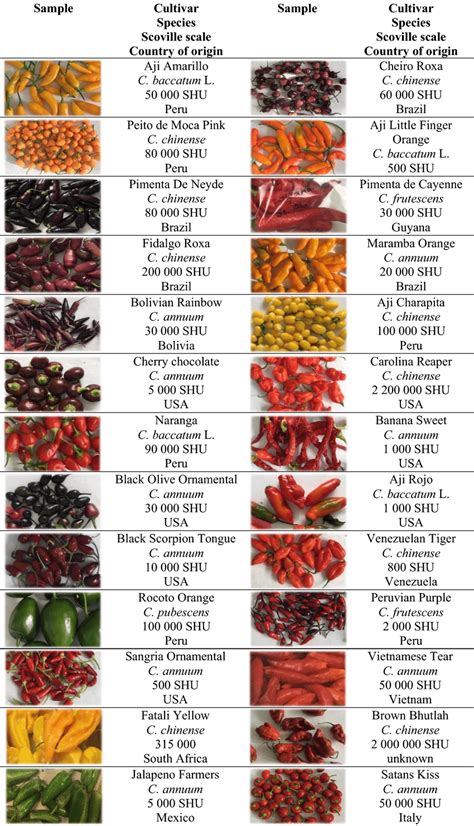 chili pepper varieties