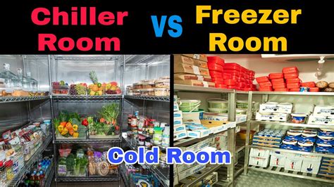 Chiller Compartment Vs Freezer