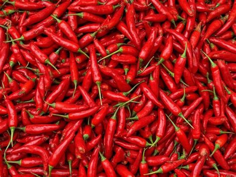 Chilli Definition Australia