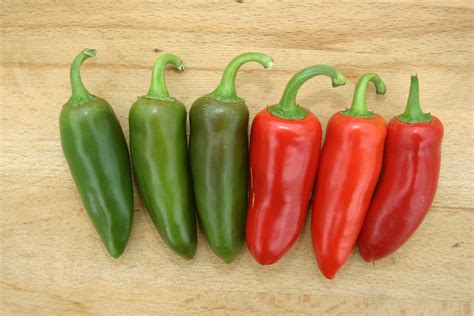 Chilli Jalapeno Tariff Code