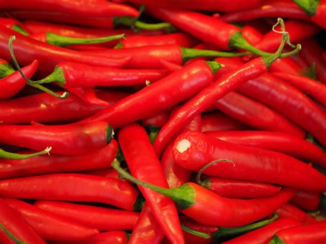 chilli or chili pepper