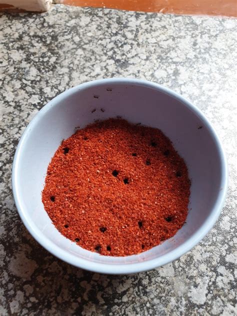 Chilli Powder Ants