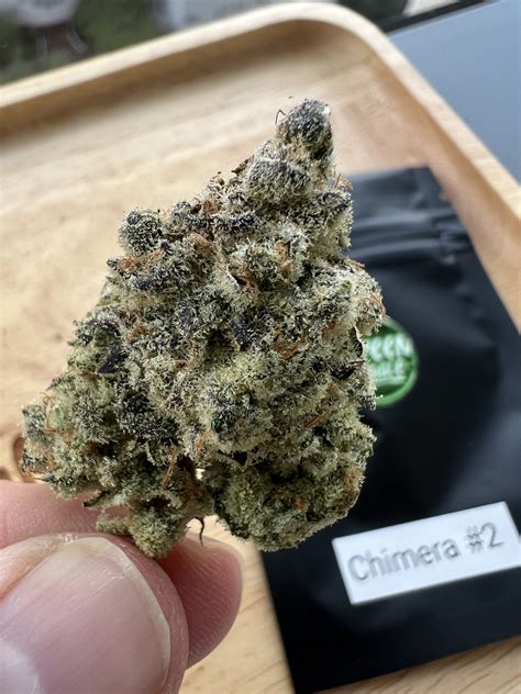 chimera 2 strain