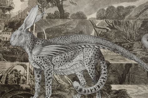 5 Ways Chimerical Meaning