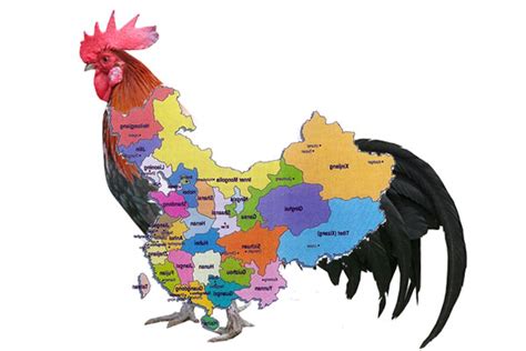 China Map Looks Like Rooster