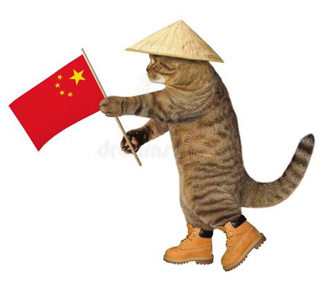 china cat