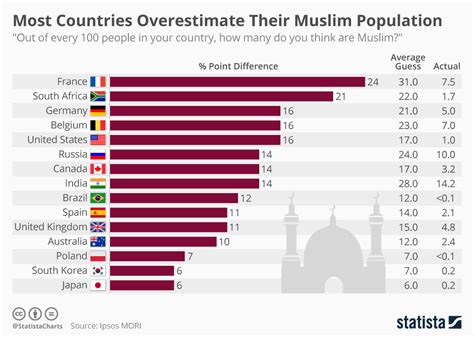 china muslim population 2022