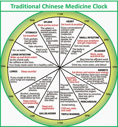 Chinese Medicine Horary Wheel Organs and their time of day. Healthy