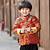 chinese new year clothes for boy
