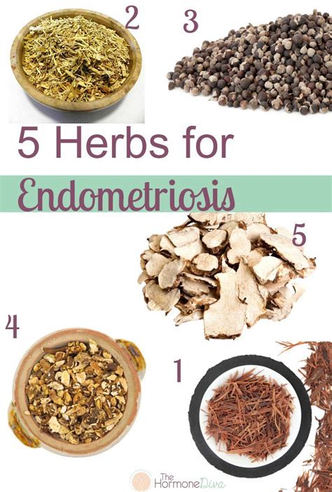 chinese herbs for endometriosis