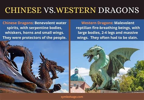 chinese vs western dragon