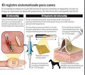 Chips Identificacion para perros Accesorios Para Mascotas, Accesorios