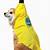 chiquita banana dog costume