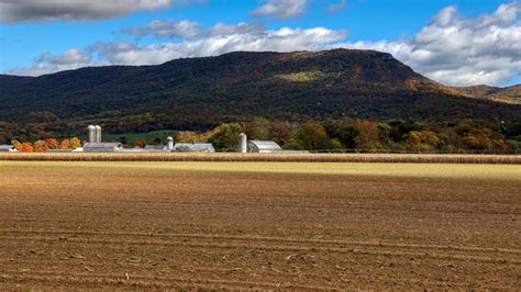 Chiropractor Mount Jackson Va