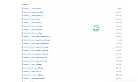 Chisel.exe For Windows