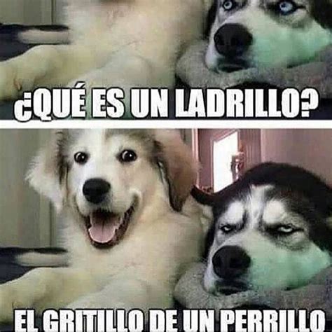 Imagenes, Memes y Chistes de suegras para Whatsapp FondosWallpappers