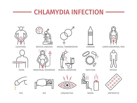 Chlamydia Signs, Symptoms, and Complications