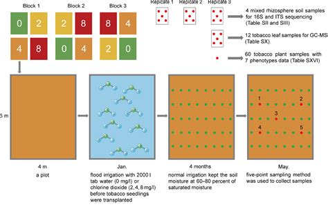 Chlorine Dioxide Interactions