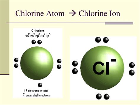 Chlorine Ion Stable