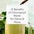 chlorophyll water recipe