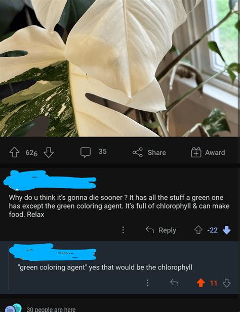 Chlorophyll Reddit