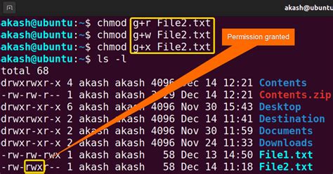Screenshot showing common chmod command examples