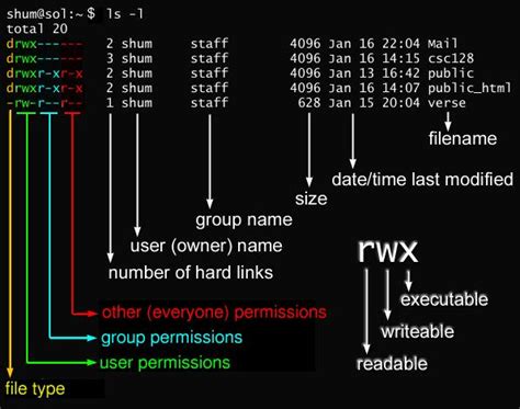 Diagram showing the basic syntax of the chmod command