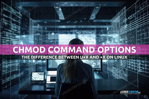Chmod U X Bin Magento