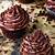 chocolate cupcakes eggless recipe