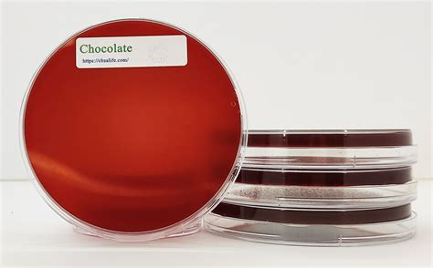 chocolate agar selective or differential