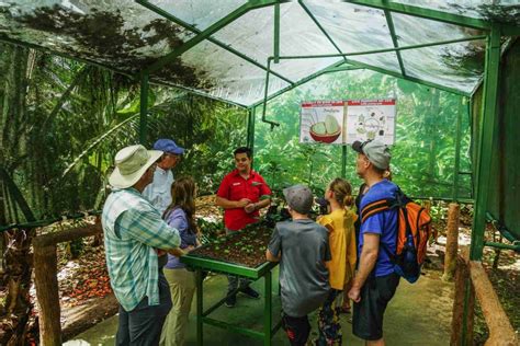 chocolate and coffee tour la fortuna