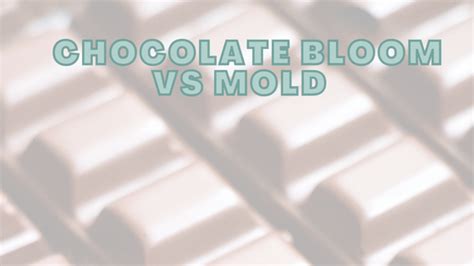 chocolate bloom vs mold