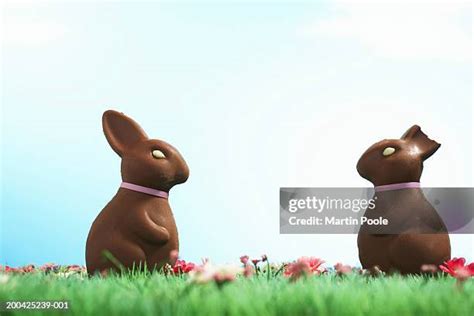 Chocolate Bunny Bite