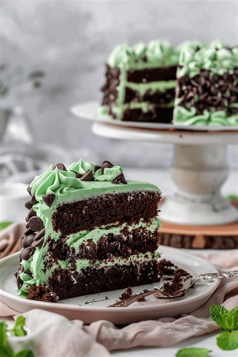chocolate chip mint cake