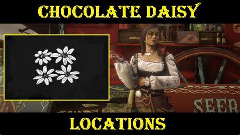 Chocolate Daisy Rdr2
