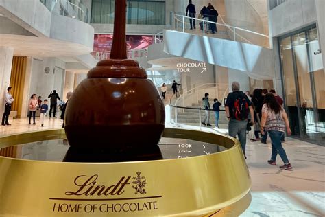 chocolate experience tips