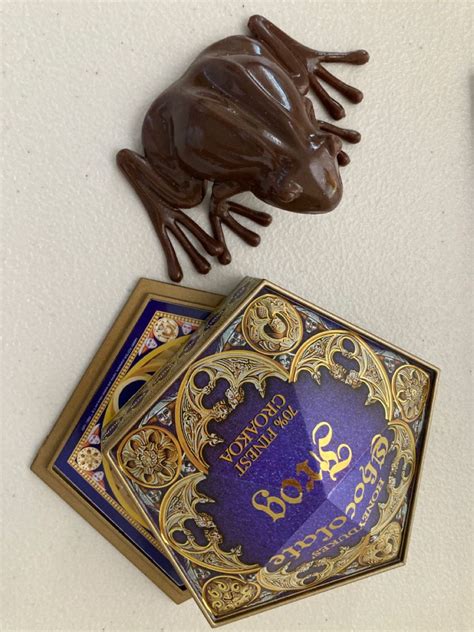 Chocolate Frog Day 3