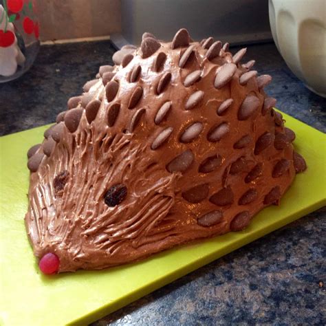 chocolate hedgehog cake recipe uk