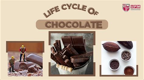Chocolate Life Span