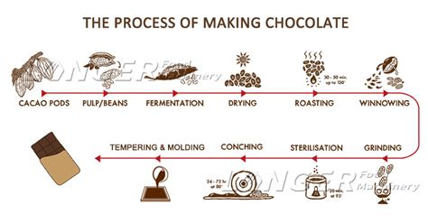 chocolate making process